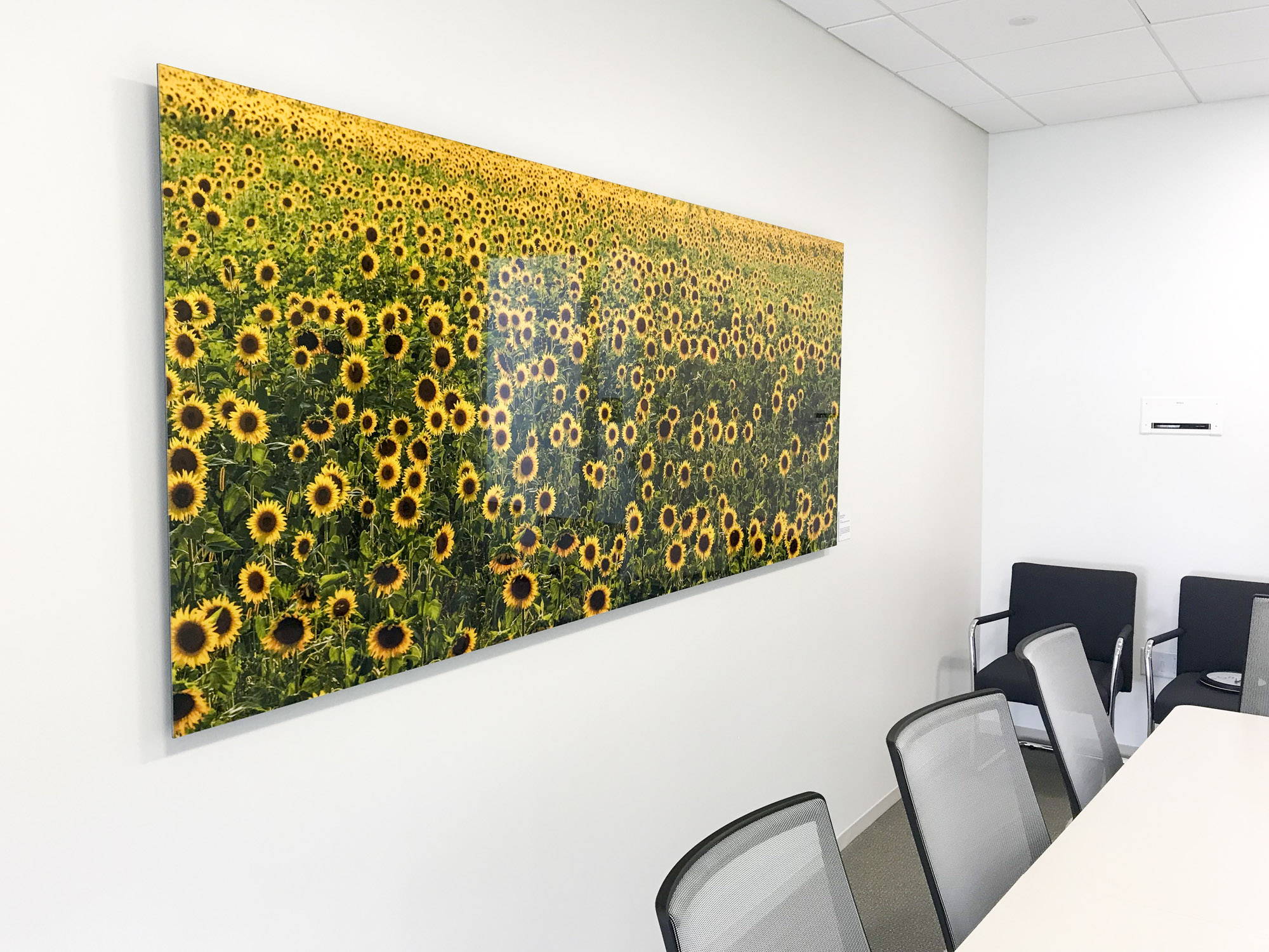 Large format gigapixel photograph in an office conference room