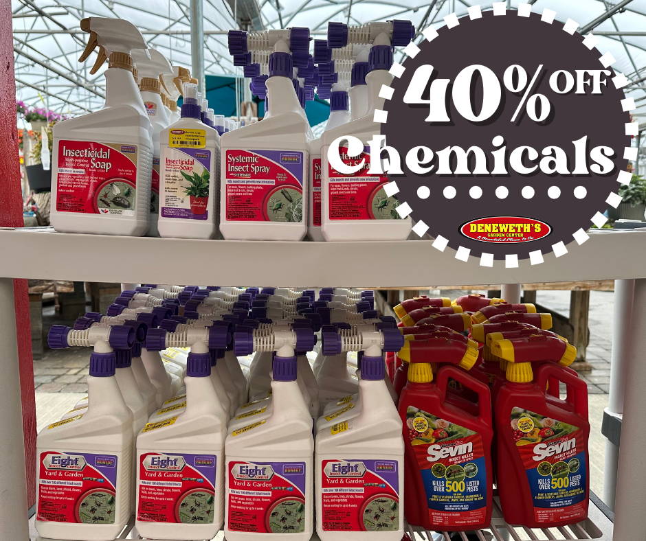40% off Chemicals