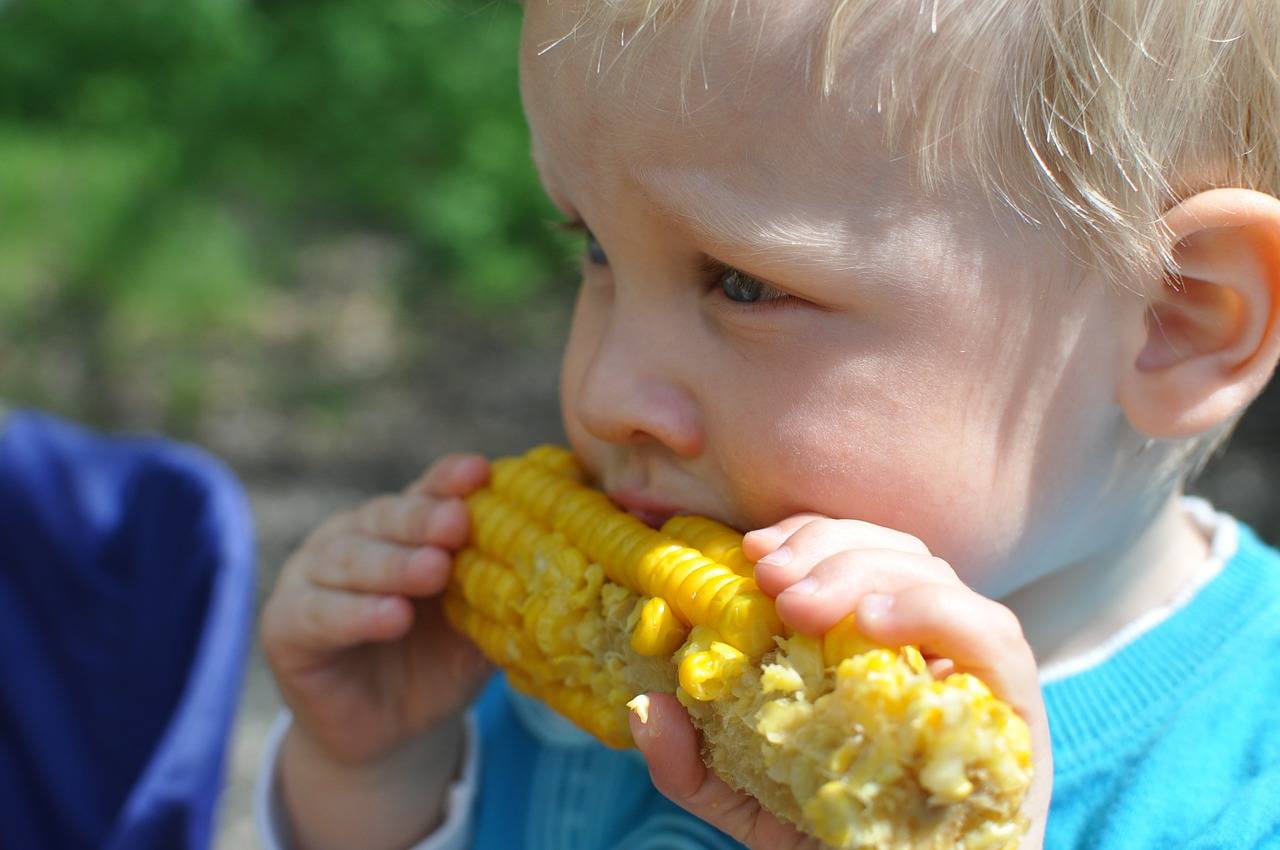 Little Boy Eating Sweetcorn