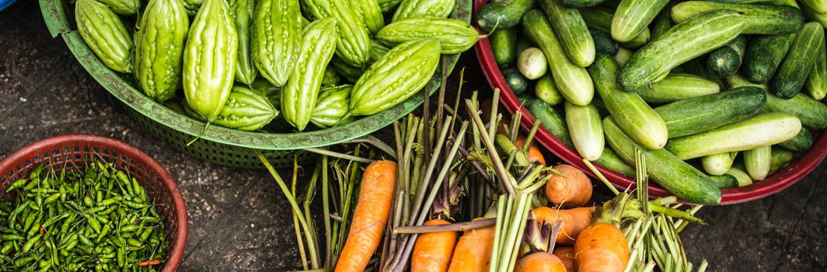 Zucchini, Carrots and Hot Peppers picked from the garden