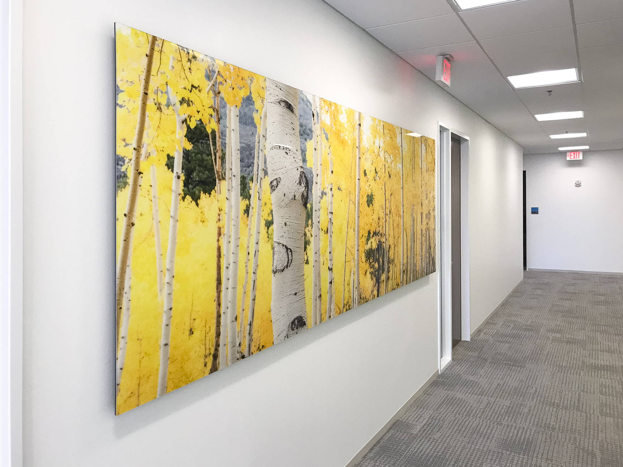 Large format gigapixel photograph in an office hallway