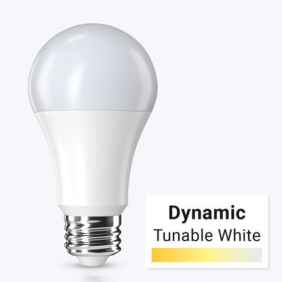 Light bulb labeled 