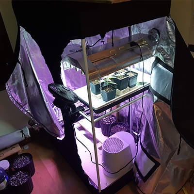 Opening up this grow tent makes every part of your garden accessable.