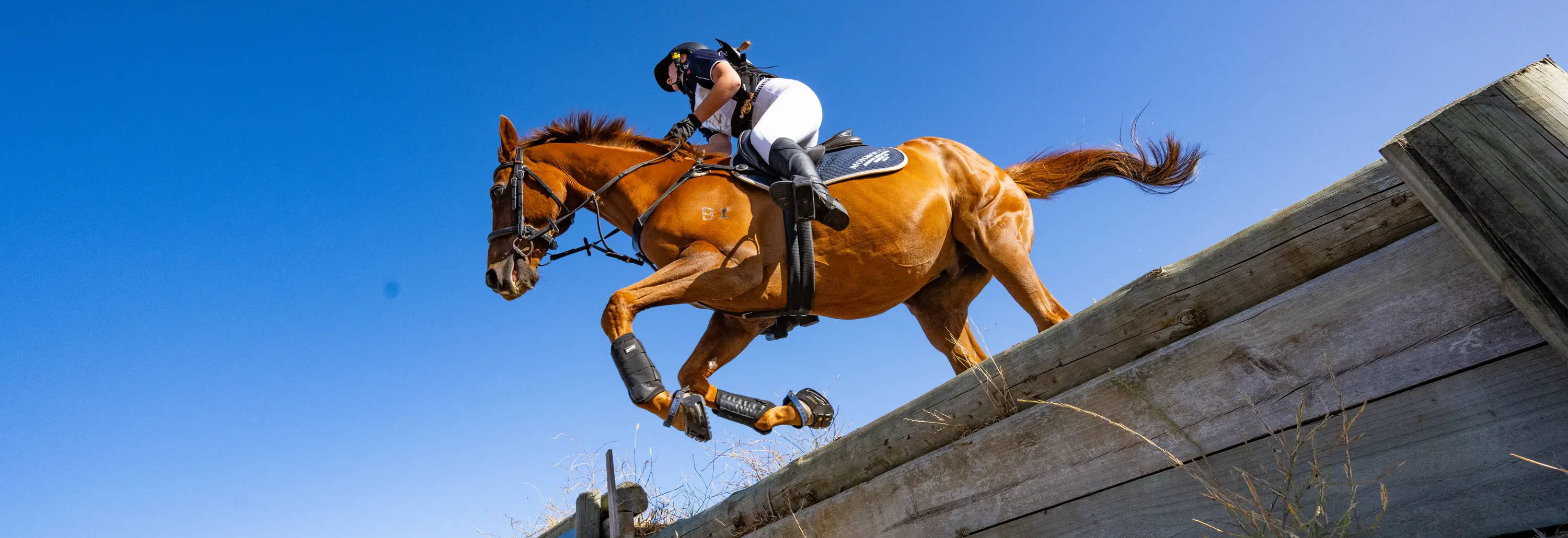 Scootboot equestrian horse riding barefoot horse jumping in hoof boots