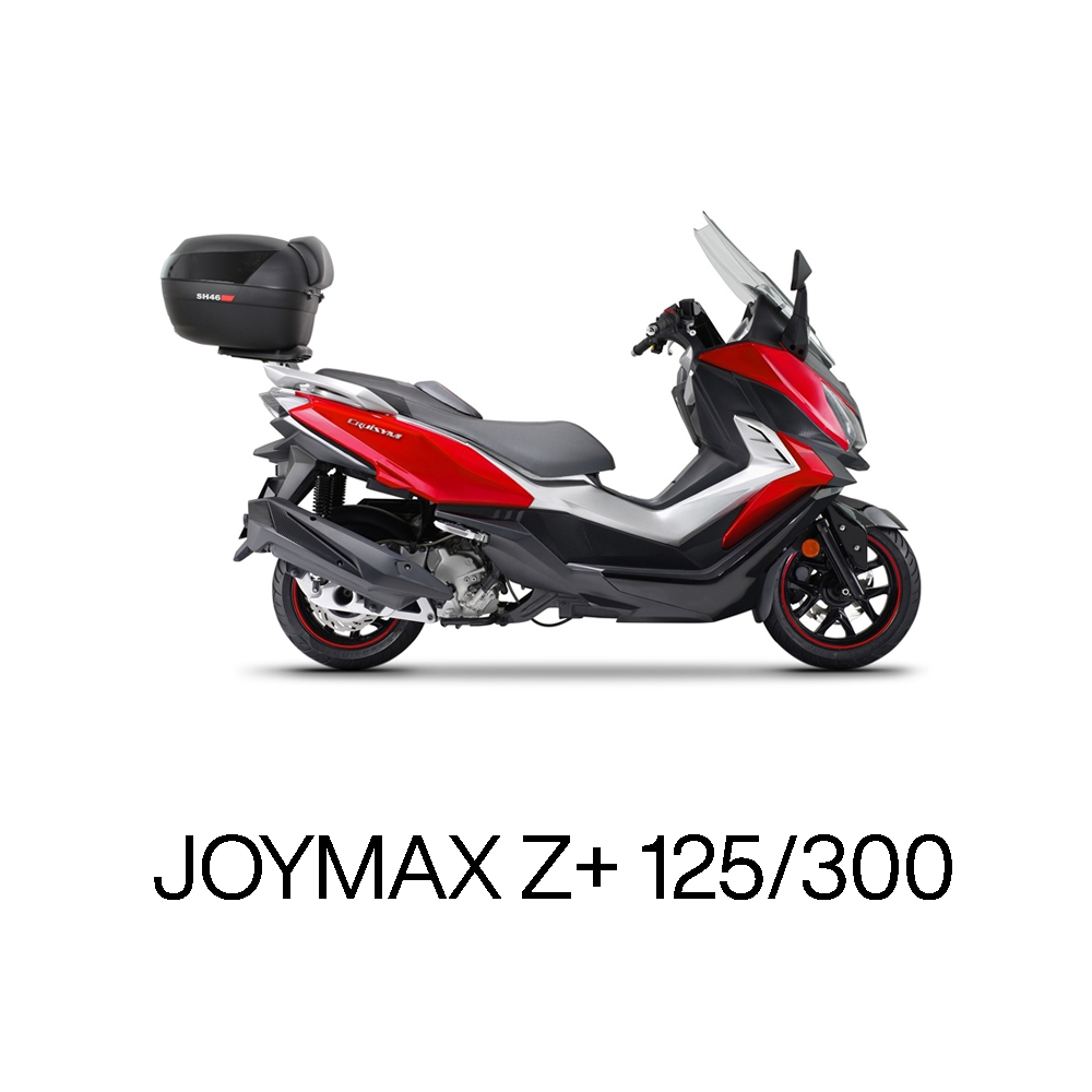 Joymax Z+ 125/300