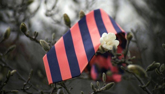 Coral and navy blue striped tie placed on a flowering plant