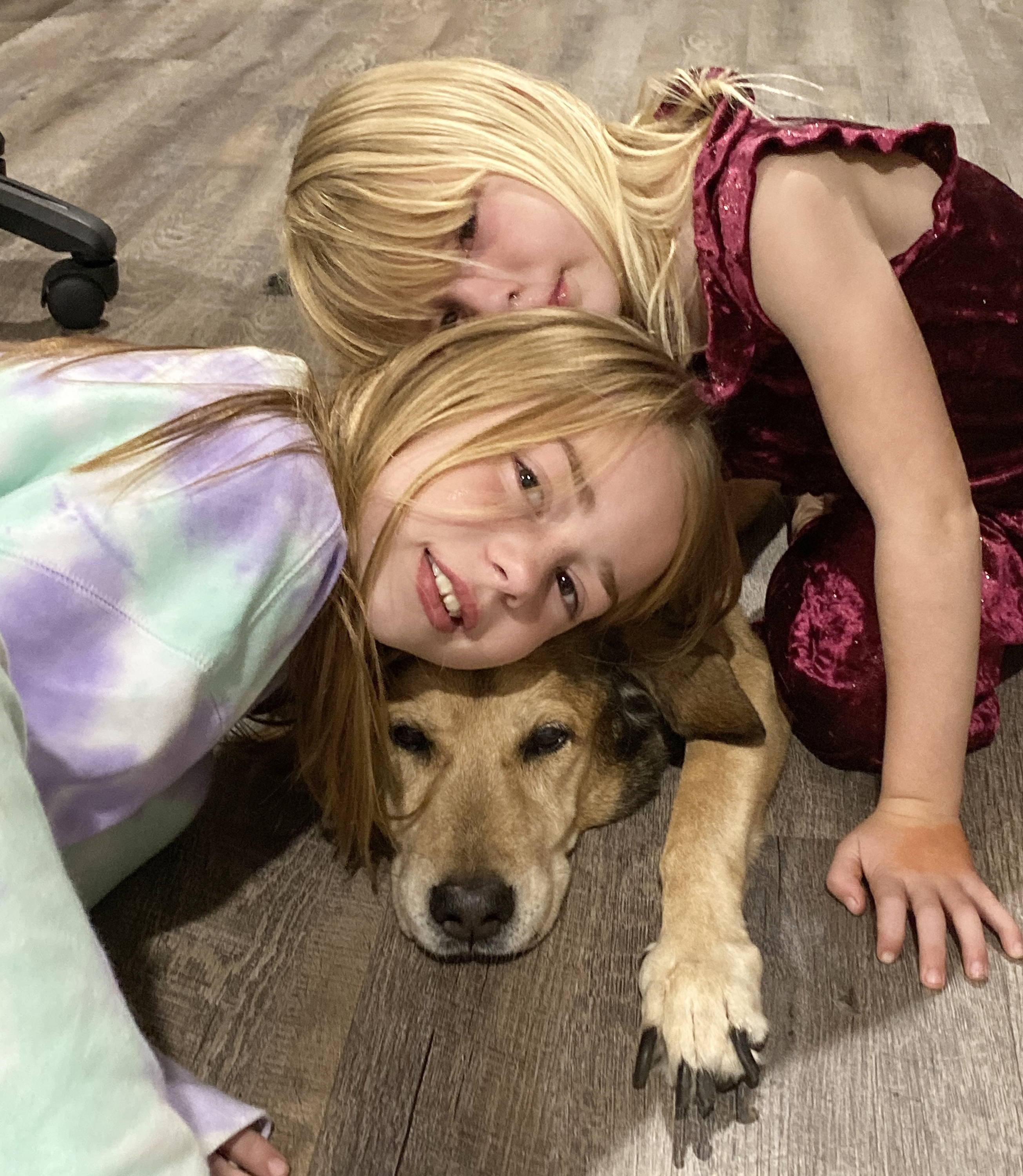 Young girls saying goodbye to a dying family dog.