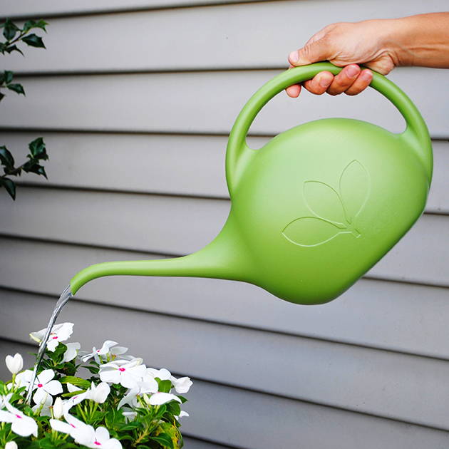 Person watering flowers with a lettuce green half-gallon watering can