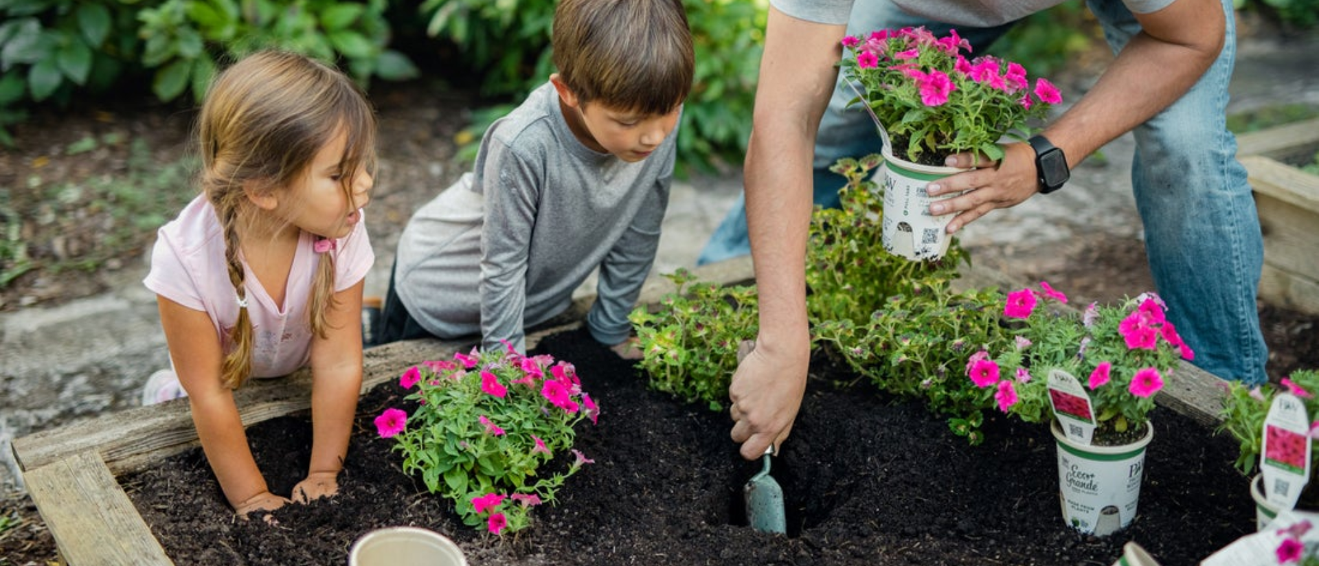Father, son, and daughter planting eco+ grande annuals in a gardening bed