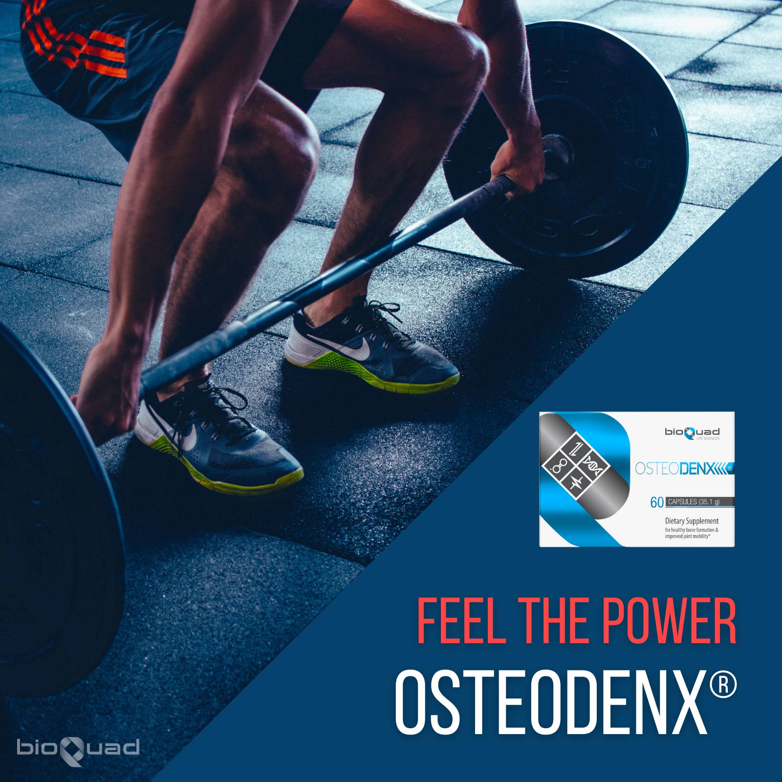 Weightlifter performing a deadlift with a caption 'FEEL THE POWER OSTEODENX®' alongside the bioQuad OsteoDenx® supplement packaging, emphasizing strength and joint support.