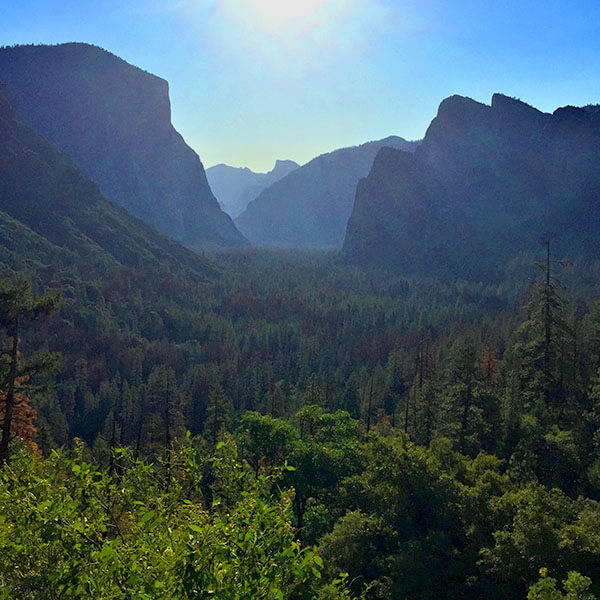 High Quality Organics Express Yosemite Valley