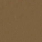 Sandstone Shore Fabric
