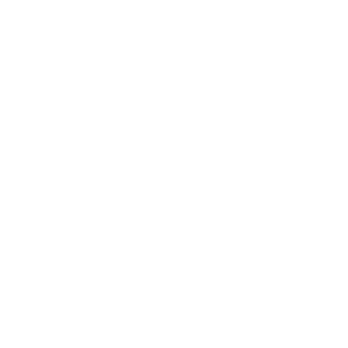 12 months in a circular design.
