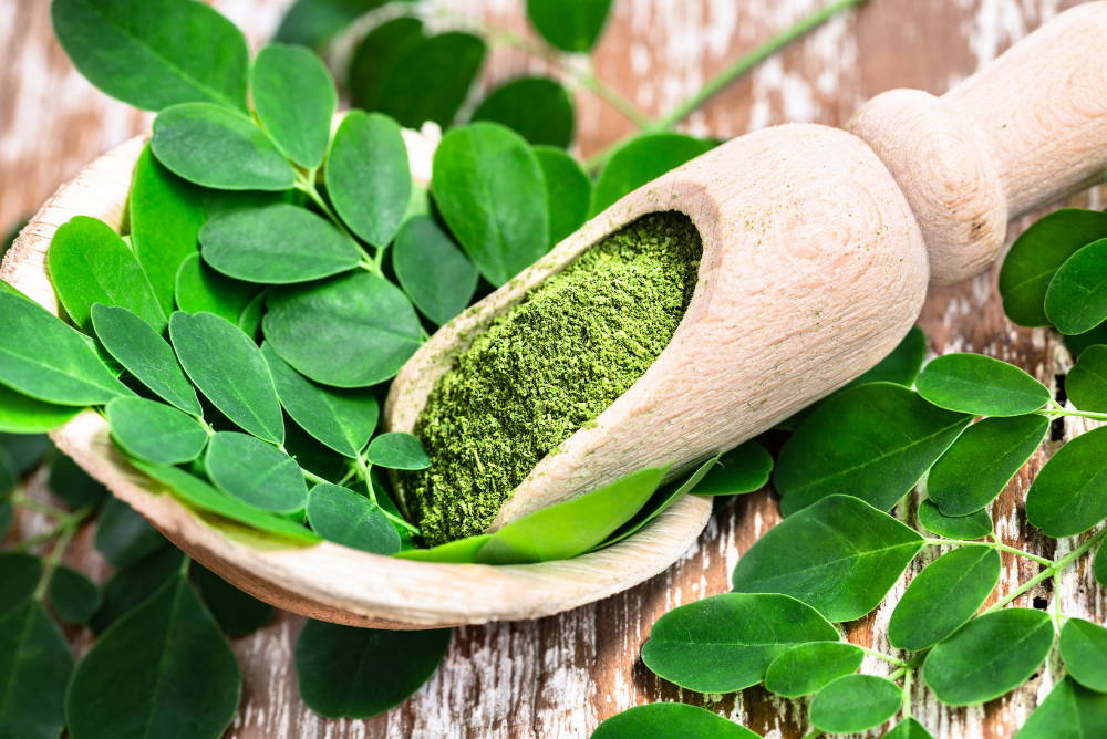 Moringa powder in wooden scoop with original fresh Moringa leaves on wooden table close-up.health benefits of moringa|main image|sunwarrior blog