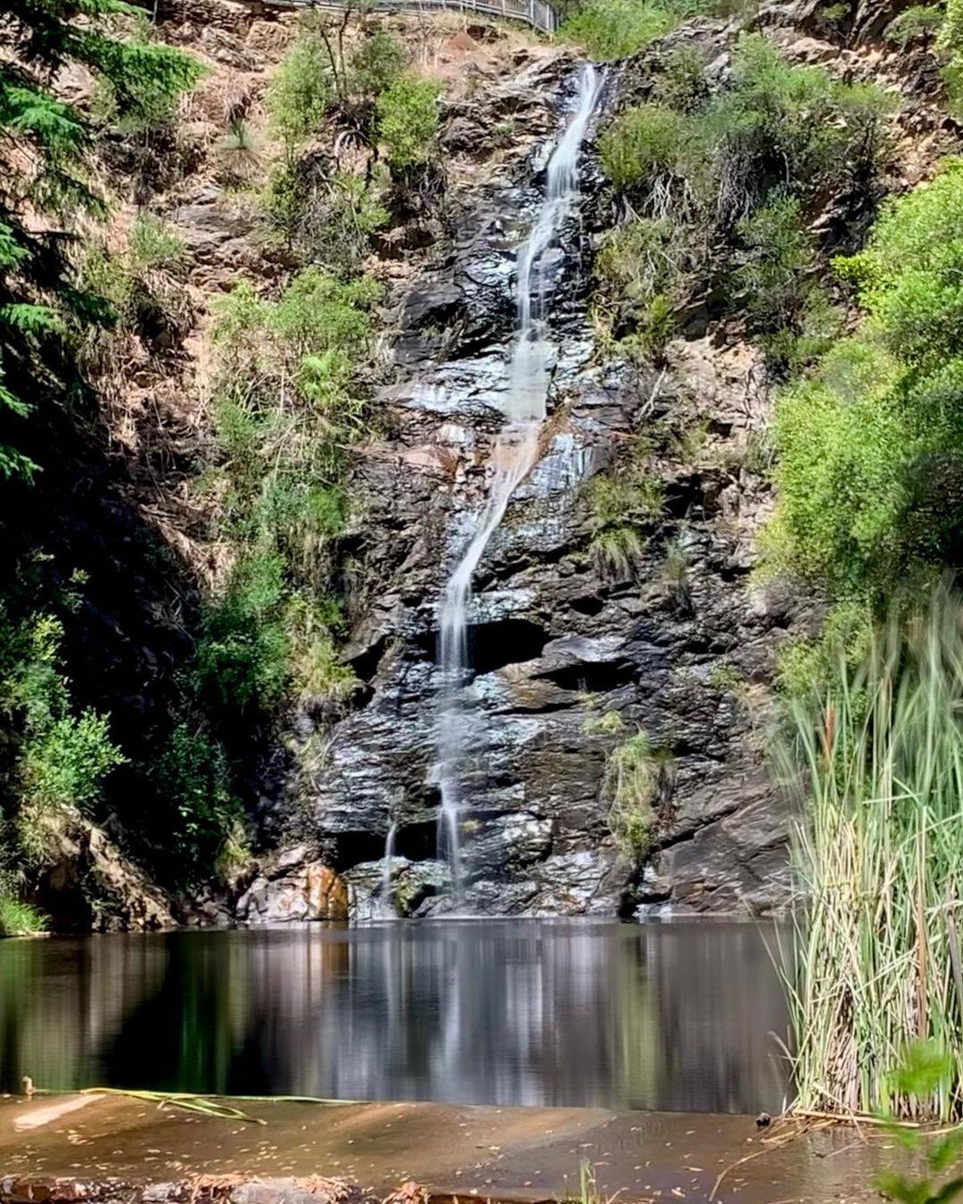 Waterfall Gully To Mount Lofty hike, Best hikes in Adelaide