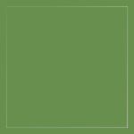 Solid green square with a light border.