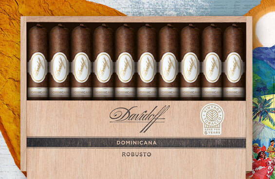 Geöffnete Davidoff Dominicana Kiste voller Zigarren.
