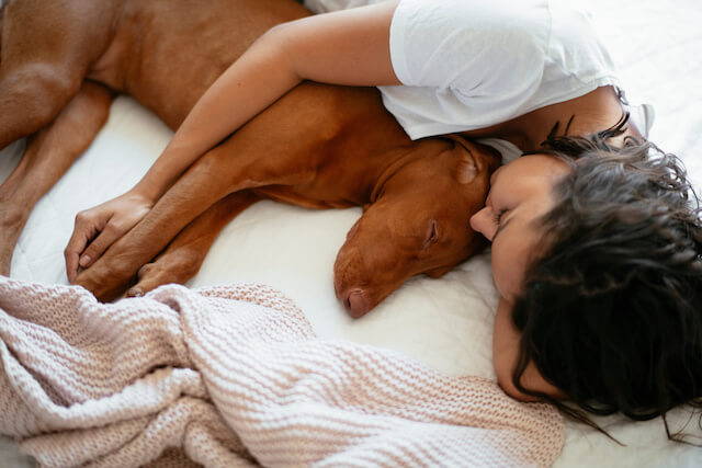 Pet parent soothing dog after he vomited