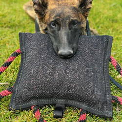 Why Ray Allen Dog Tug Toys Are Vital To K9 Bite Training - Ray Allen  Manufacturing