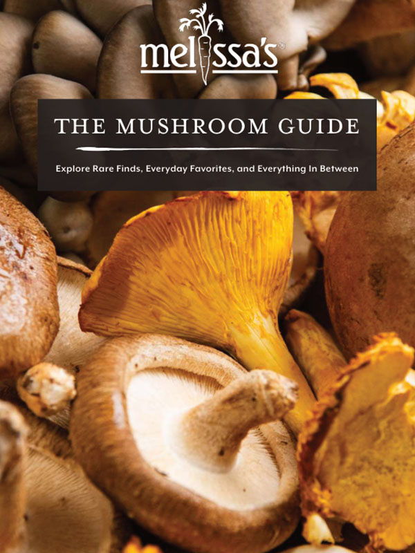 Mushroom guide cover featuring various types of mushrooms.
