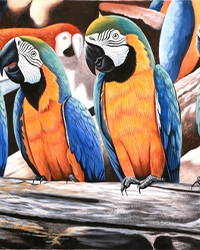 Bird Paintings