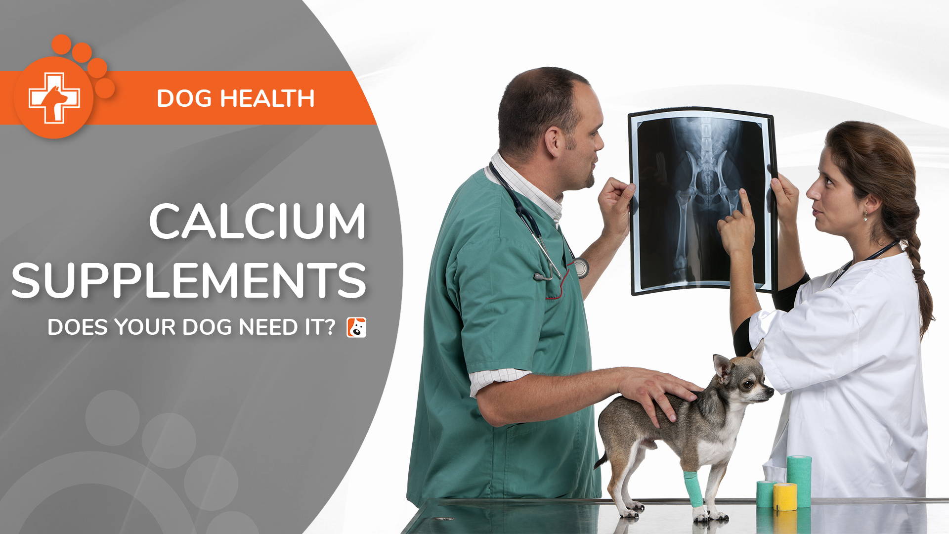 can i give calcium to my dog