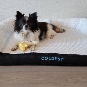 Coldest Dog Bowl - COLDEST – COLDEST Wholesale