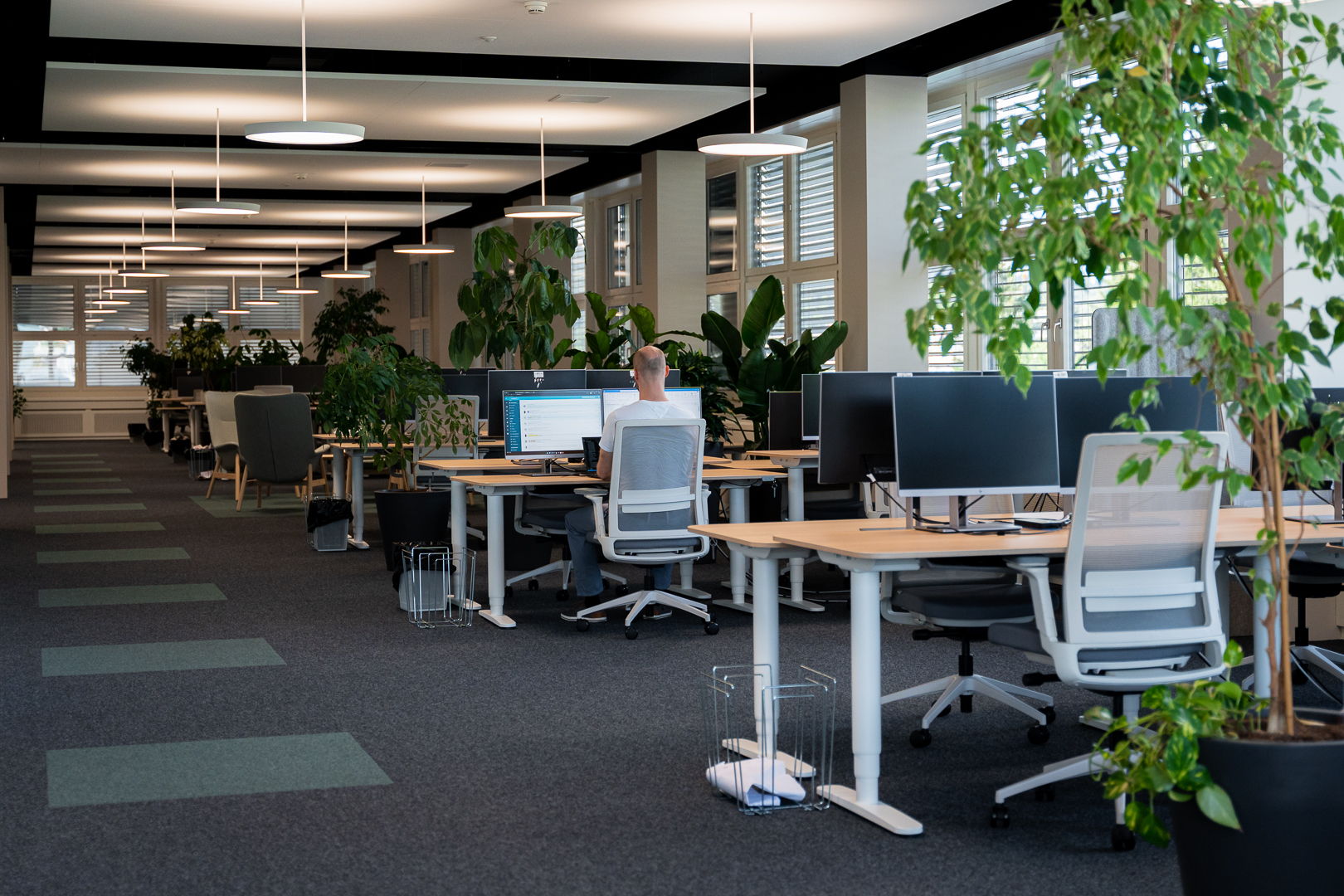 Green open-plan office by Enersuisse with ofinto workstations arranged in rows