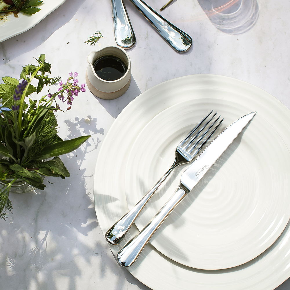 Table setting with a plate, Radford Bright fork, knife, and a small plant.