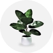 Faux Flowers & Plants Mirrors