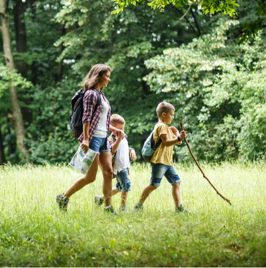 Una mamma passeggia nel bosco in estate con i suoi due figli piccoli. Attraversano una radura erbosa alla ricerca di un posto per il picnic.