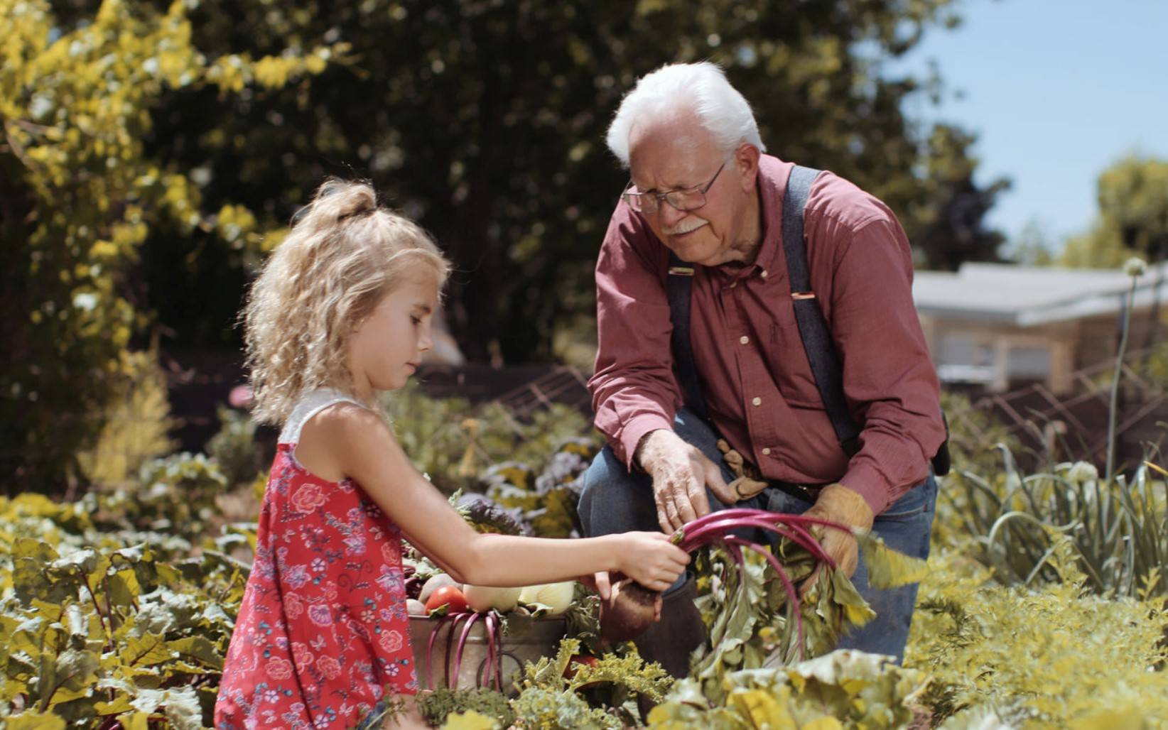 Grandpa and grand daughter in garden|Vegan-collagen-osteoporosis