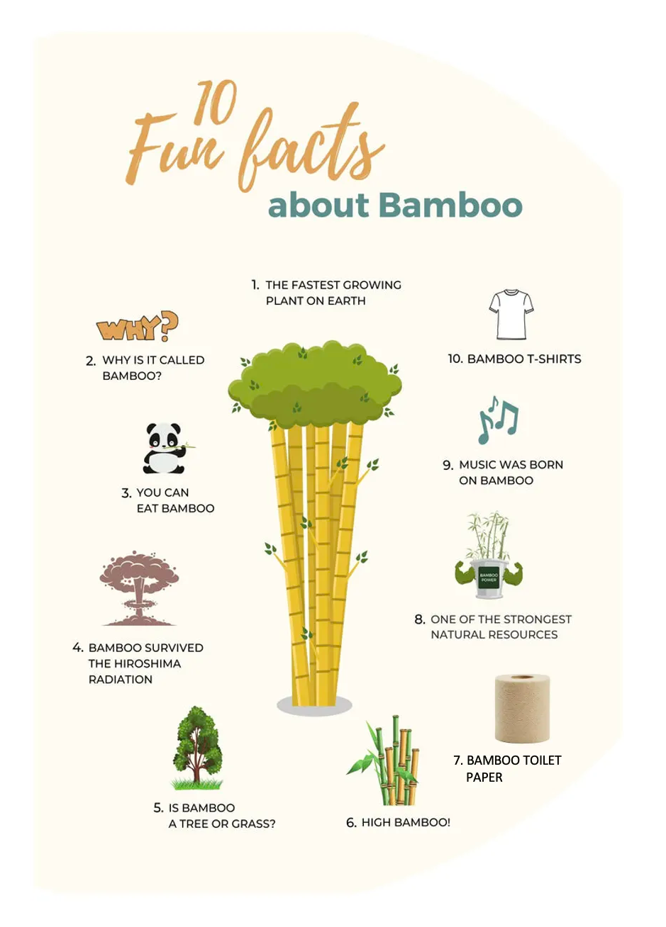 Why Bamboo - Purafide