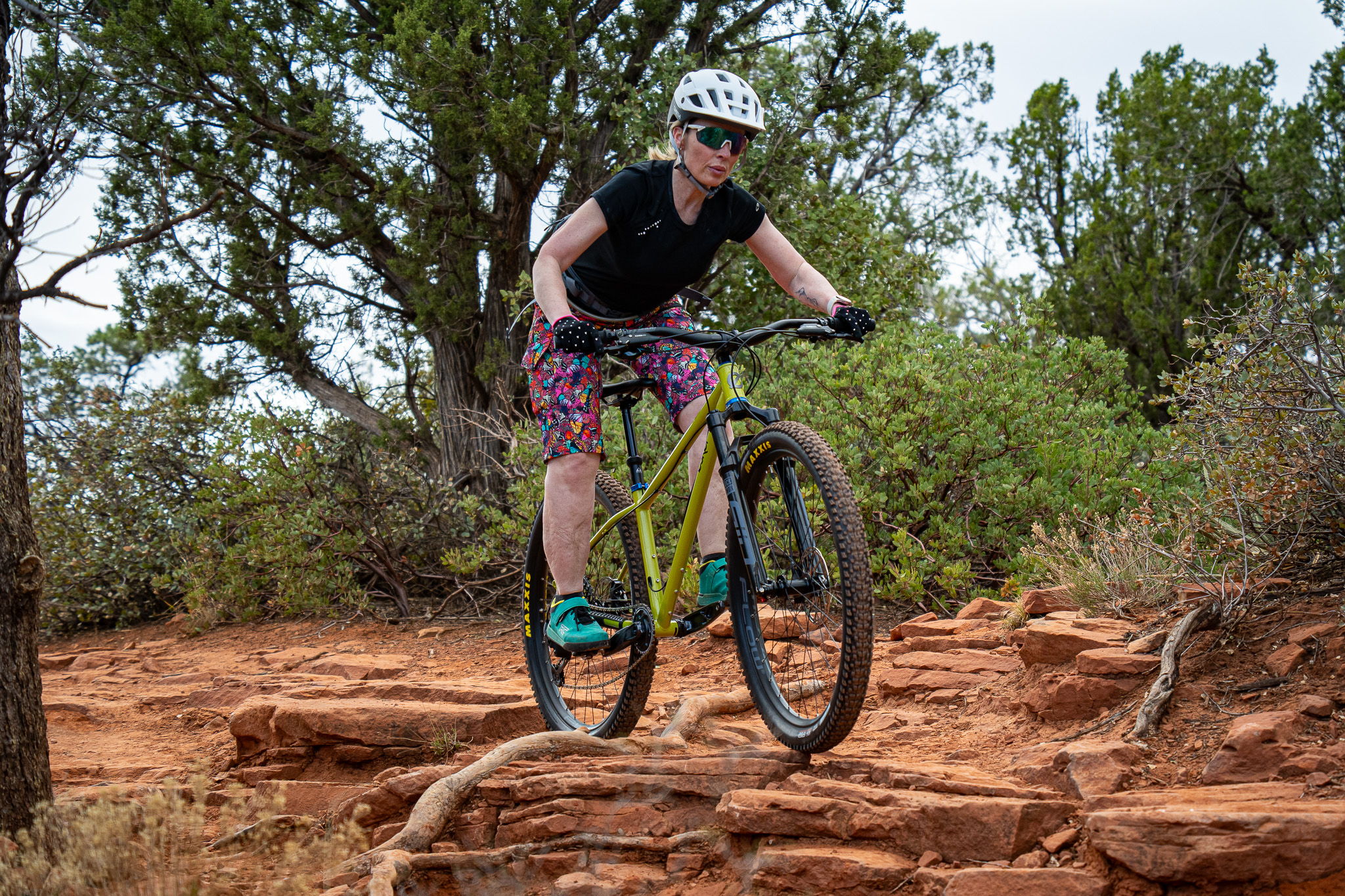 Person riding a mountain bike over rocky terrain in a natural setting.