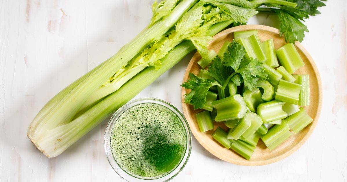 celery is safe vegetable for dogs