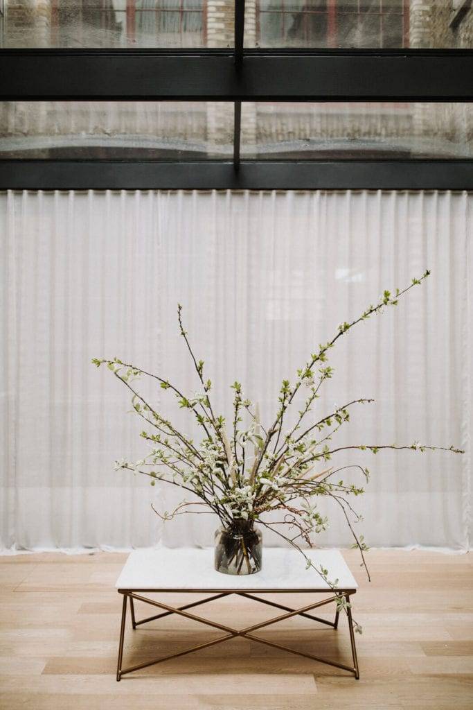 Ambiance minimaliste avec des rideaux transparents et une plante centrée.