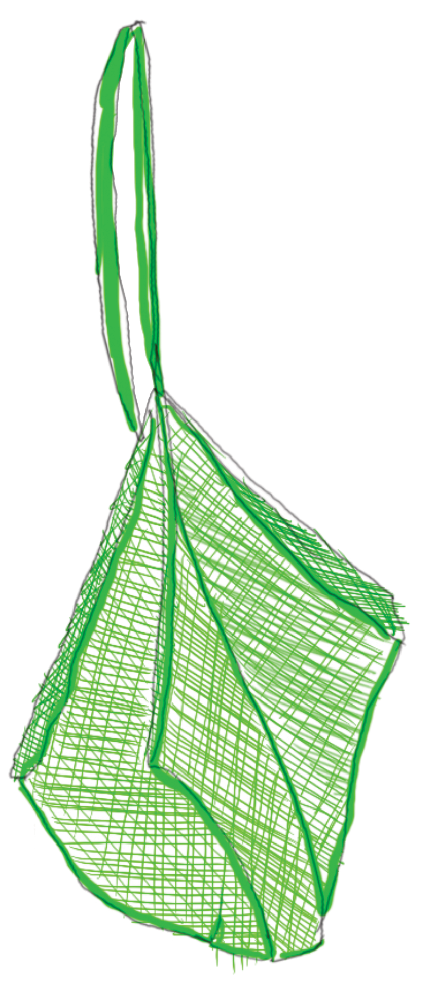 Green net bag