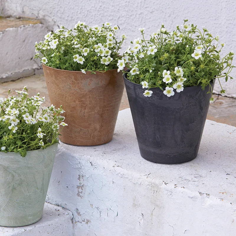 Flowers planted in different colored Cali round planters