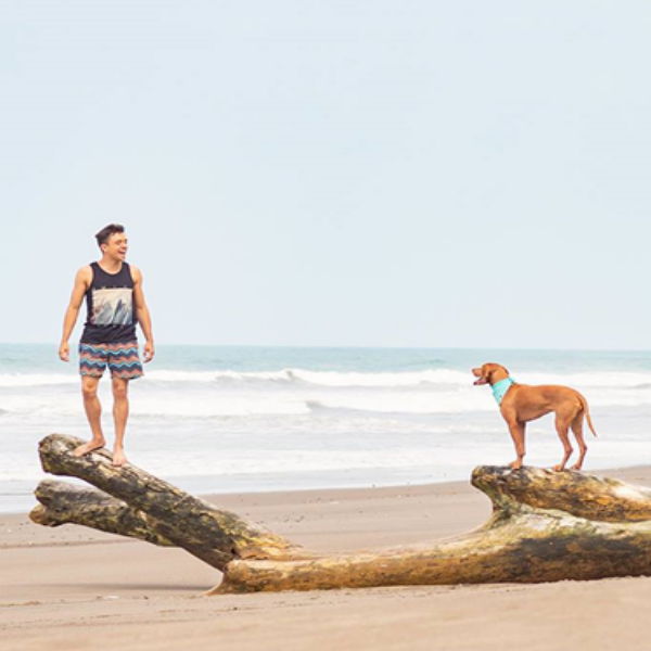 Person and dog standing on a log at the beach.