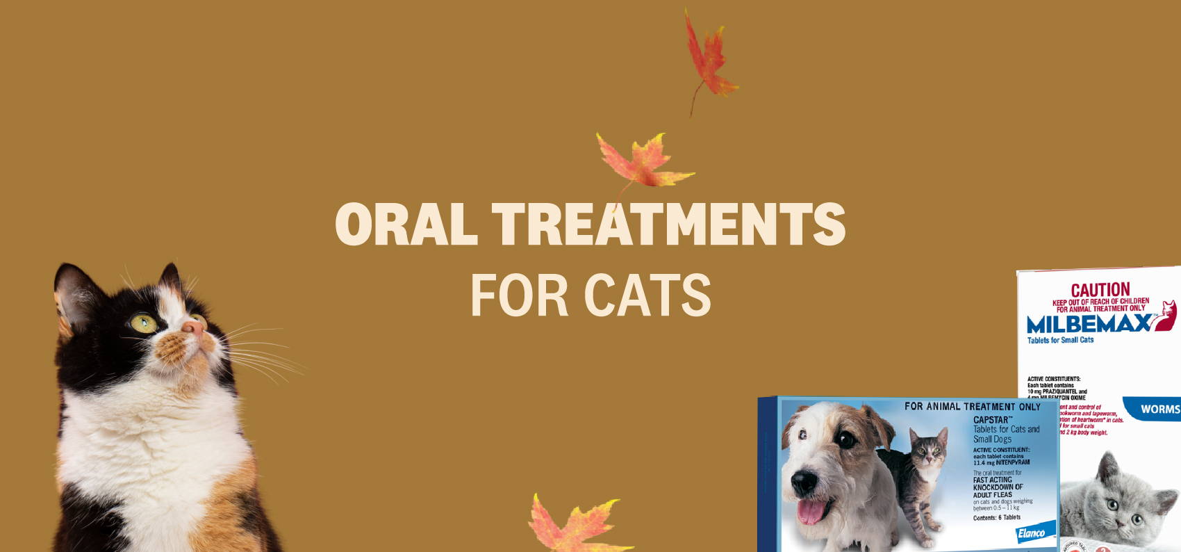 ORAL TREATMENTS FOR CATS