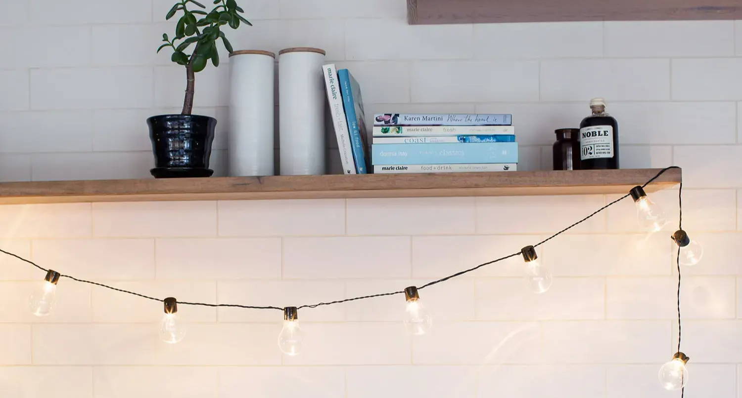 Festoon lights hanging on a shelf with books and a plant on.