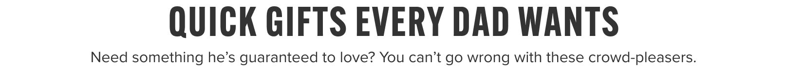 Text promoting quick gift ideas for dads.