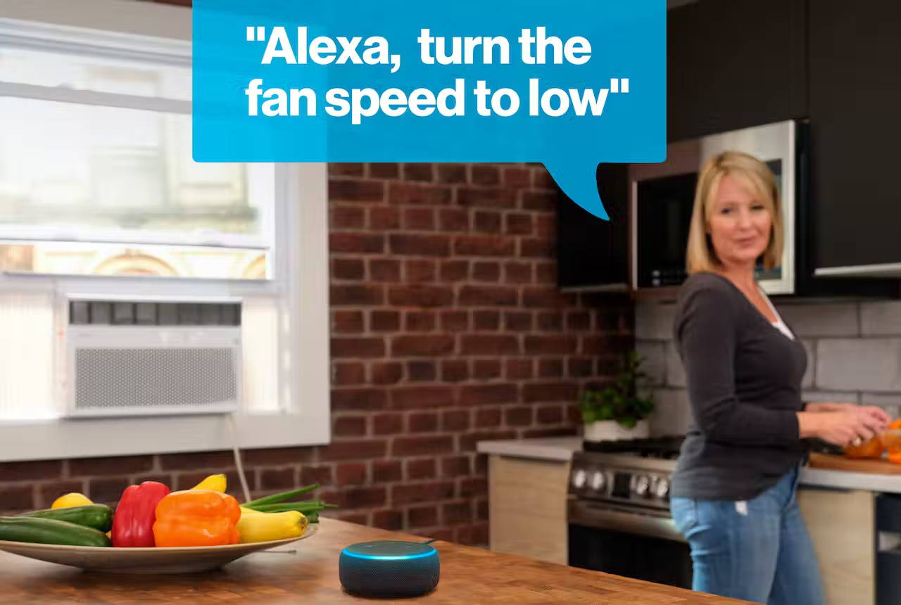 Woman telling Alexa to, 
