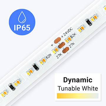 Outdoor Accent Dynamic Tunable White LED Strip Light - Hybrid accent lighting