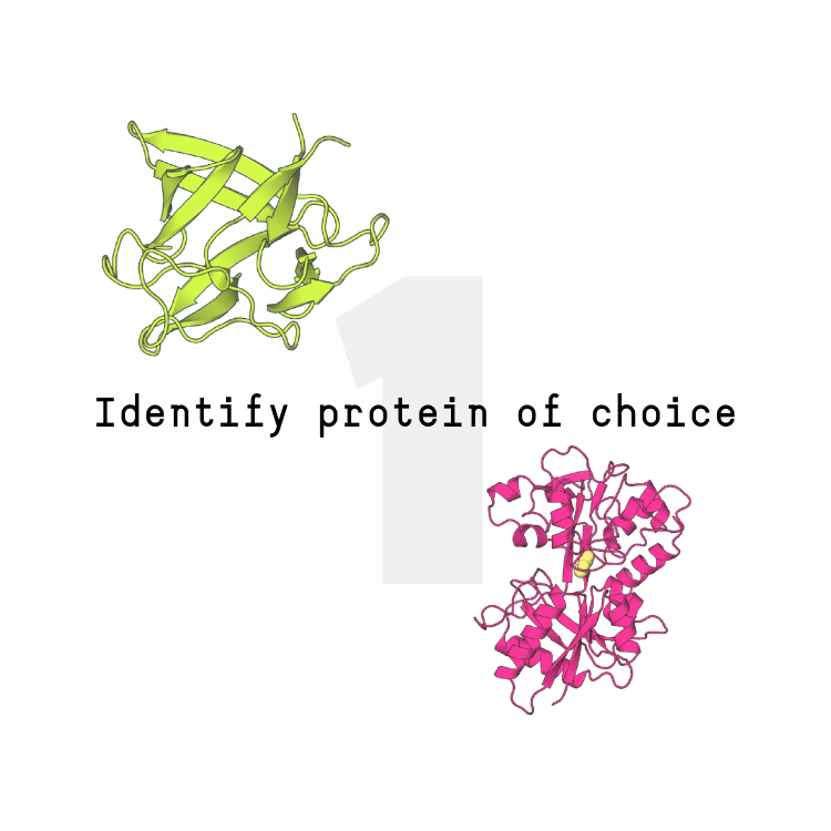 Future Fields EntoEngine™ protein production process step 1