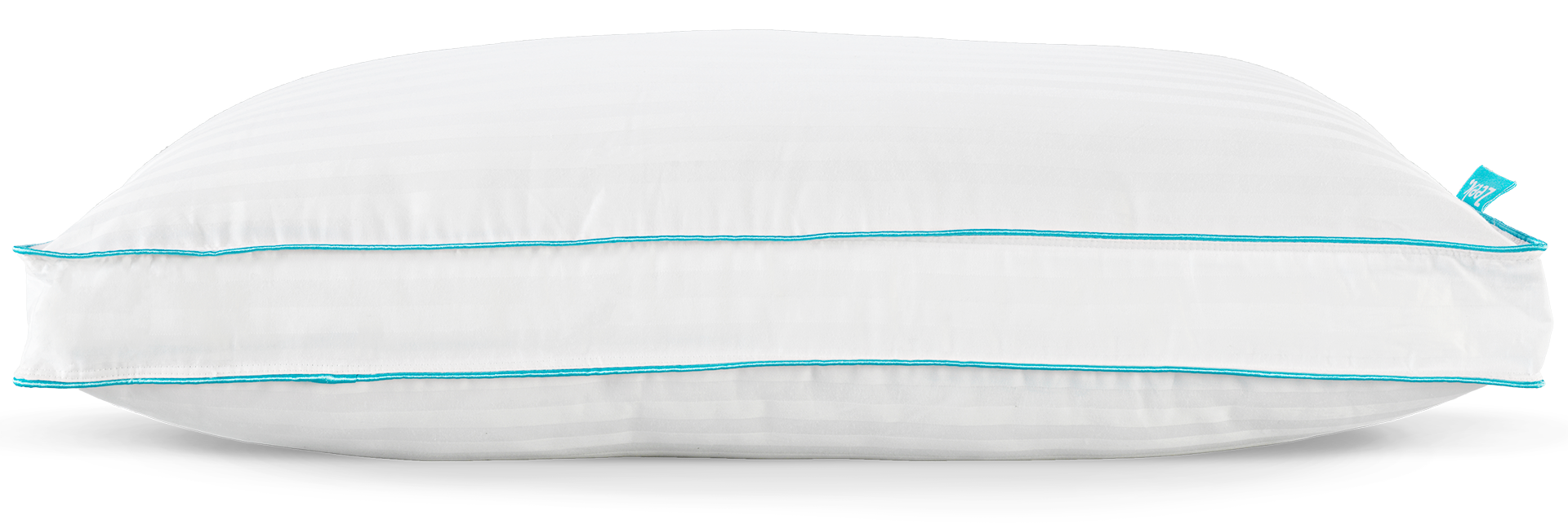 Image of the Zeek Cloud Pillow.