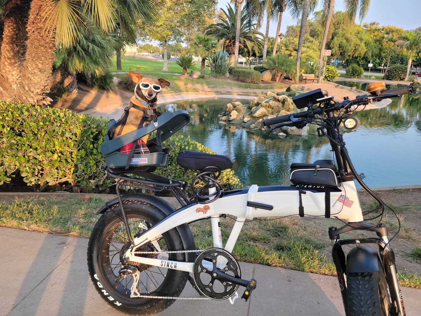 White Sinch ebike with stickers as an accessory and dog companion riding in the rear.