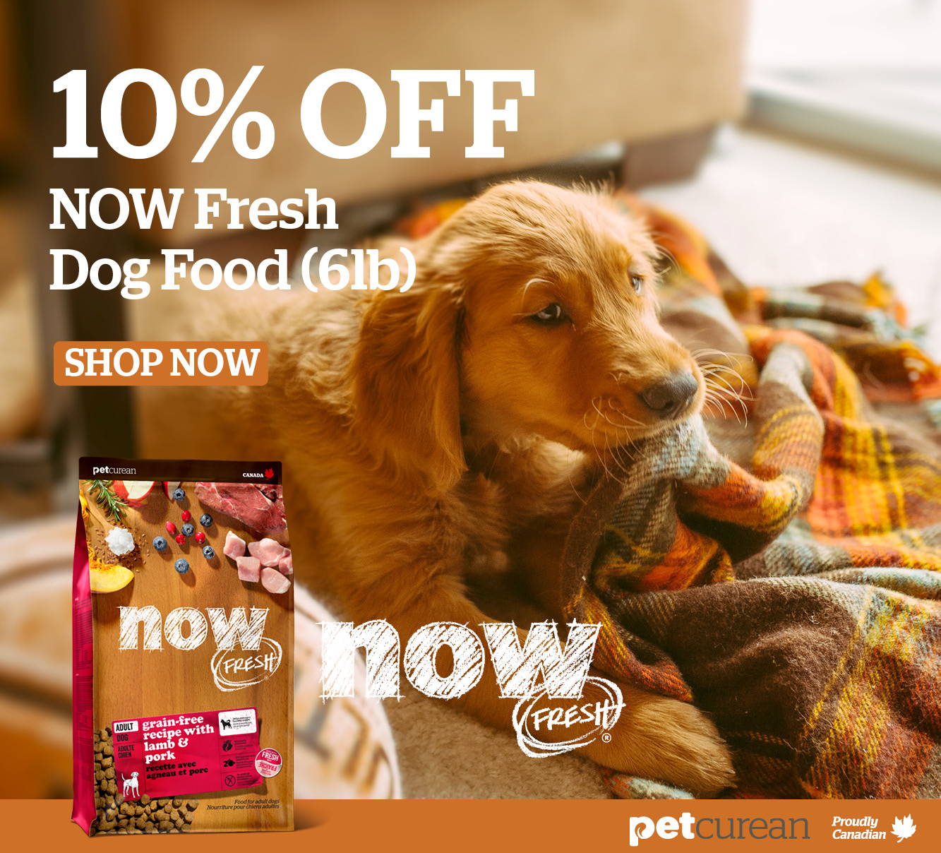 10% off NOW Fresh Dog Food 6lb