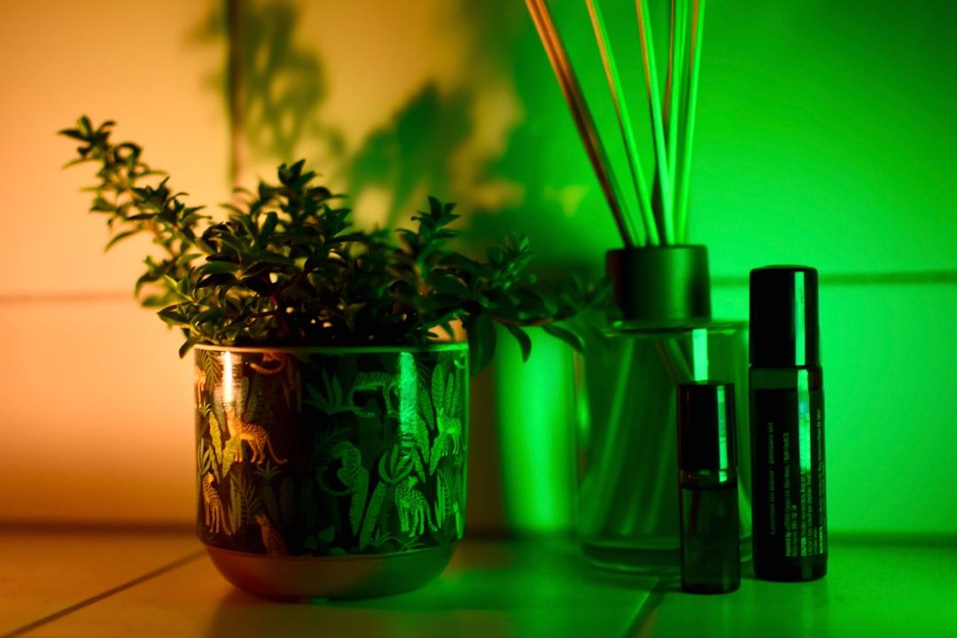 a couple of plants sit on a table