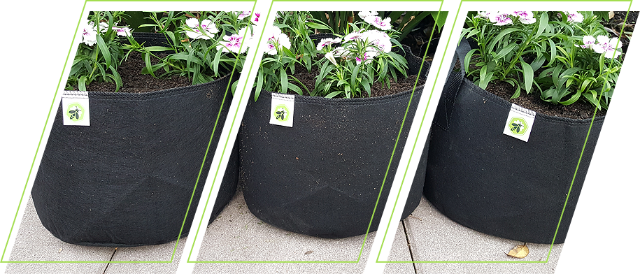 Fabric pots pros and cons: drainage, aeration, roots & more.